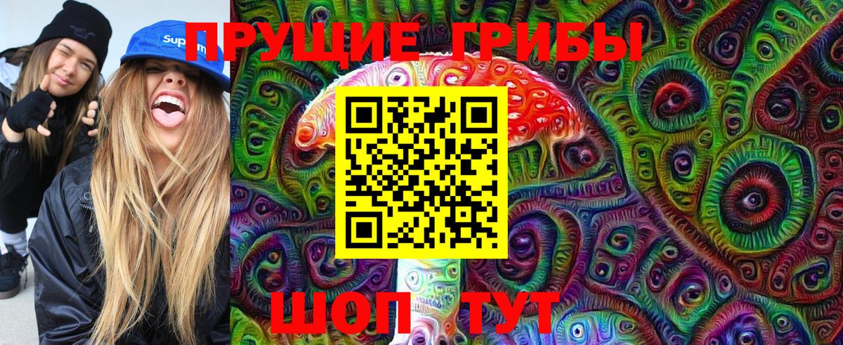 Шахты  Псилоцибиновые грибы Psilocybine cubensis  Вход с VPN 